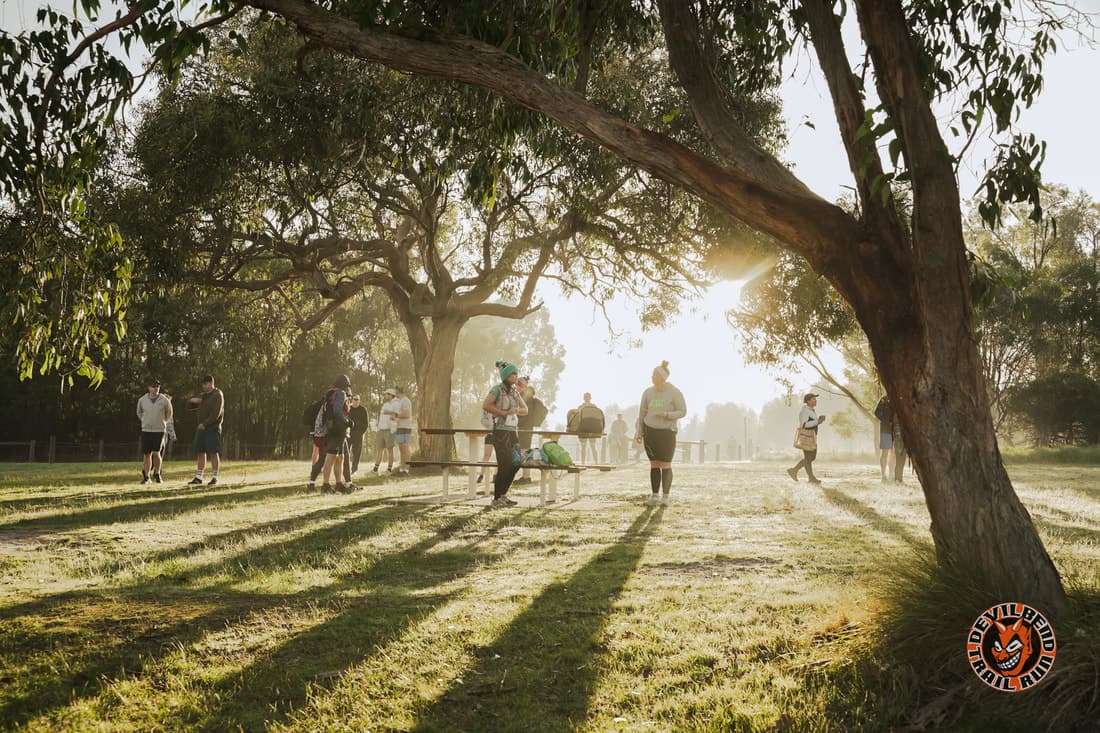 Morning light at Devilbend Trail Run
